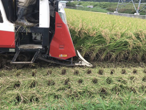 令和7年新米】鳥取県　つむぎfarm 星空舞　 白米 9kg