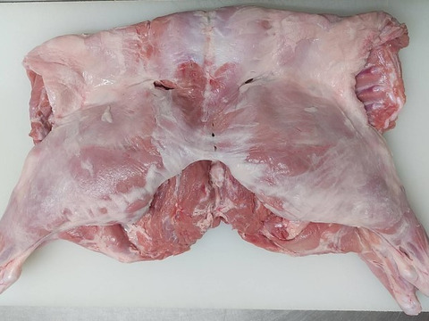 ウリ坊【丸焼き用】2400g