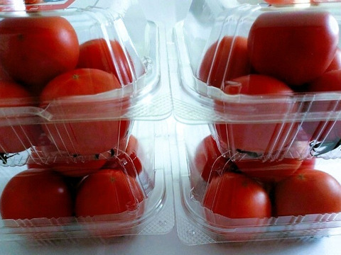 硬めで歯応えのある高糖度ミディトマト「光２号」250ｇ×４個　北海道産