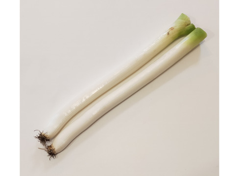 【畑でまっすぐ】青森県十和田市産　長ネギ　焼き・鍋の主役に　2㎏