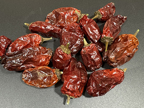 【乾燥唐辛子】結構我慢できそうな辛さ！国産スコッチボネットロング（約20g）農薬・化学肥料不使