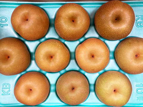 梨 新高梨 10玉 14 梨 新高梨 10玉 14 🍐【予約受付中】新高（にいたか