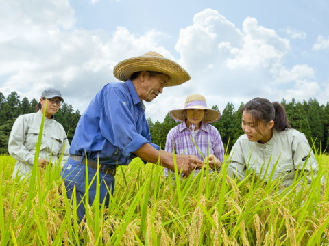 新米予約 滝本米 オリジナル 玄米 5kg 農薬不使用 玄米 化学肥料不使用 特別栽培米