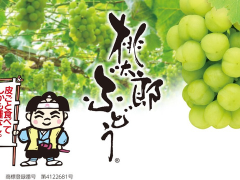【ご進物用】桃太郎ぶどう※クール冷蔵便