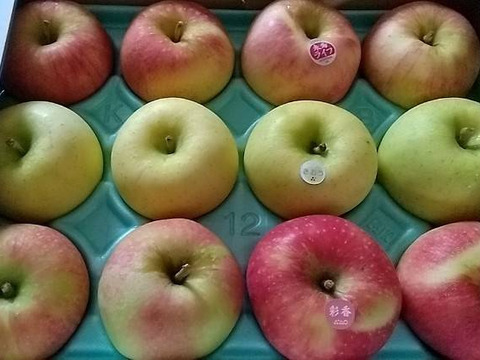 発送中！低農薬で皮ごと🙆家庭用青森りんご3品種食べ比べ3kg🍎🍏🍎【りんご食べ比べ】