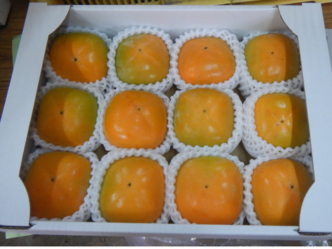 ◯お得意様専用◯和歌山の希少な柿『紀の川柿』　贈答用　12個入