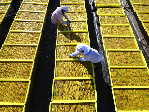 【冬ギフト】食べ比べセット 紅はるか 干し芋 丸干し400g×1袋 平干し400g×1袋