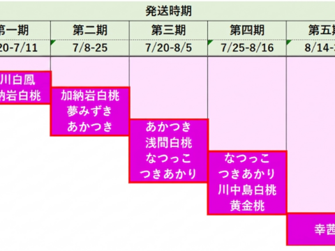 【有機栽培の美味しい桃約2kg（第三期）】自然に優しく希少でジューシーな天然桃(6～7個入)！