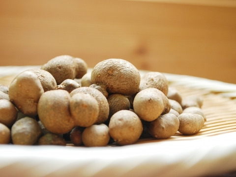 山の幸！ほくほくがたまらない！むかご（約400g）