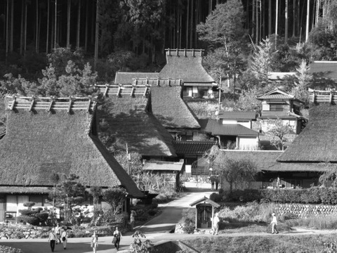 京都.美山産 極上の香りと痺れ ! 赤山椒 ☆"美山のルビー"と山椒胡椒 "サンショーブギ"