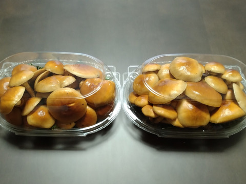 ★長野県岡谷産★【原木なめこ500ｇ】肉厚で⭐️旨みたっぷり⭐️抜群の美味しさ