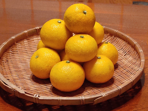 【特選】完熟ゆこう　1000g
生産量が少なくスーパーでは出回らない「幻の果実」京都の料亭では欠かせない存在であり、近年はヨーロッパのシェフたちにも愛さるローカル柑橘