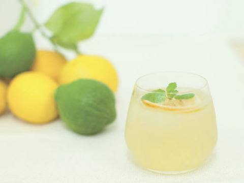 【本格LEMON SYRUP 】レモンシロップ〜レモンピール＆国産はちみつ入り〜60g×6袋