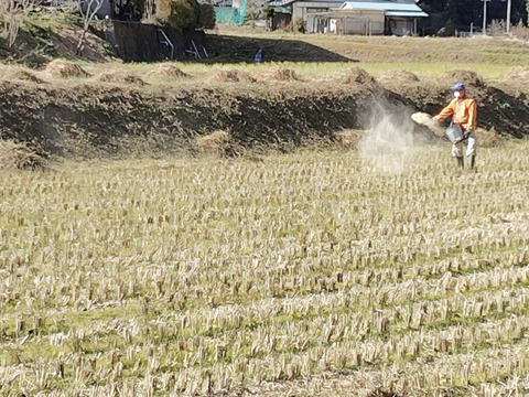 【新米・令和7年産】香る風味　信州安曇野産コシヒカリ　化学農薬・化学肥料不使用　白米5㎏