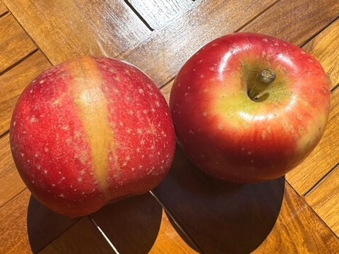 小玉べにこはく！【スマートフレッシュりんご家庭用約3ｋｇ×2箱】（玉数指定不可）