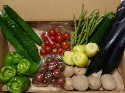 希少な 自然栽培 固定種 の野菜セット モリモリ野菜ボックス 山梨県産 食べチョク 農家 漁師の産直ネット通販 旬の食材を生産者直送 希少な 自然栽培 固定種 の野菜セット モリモリ野菜ボックス 山梨県産 食べチョク 農家 漁師の産直ネット通販 旬の食材を生産者直送