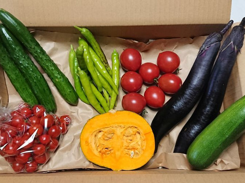 10月限定お得セット 食用ほおずき300グラムと ほのぼの野菜ボックス 山梨県産 食べチョク 農家 漁師の産直ネット通販 旬の食材を生産者直送