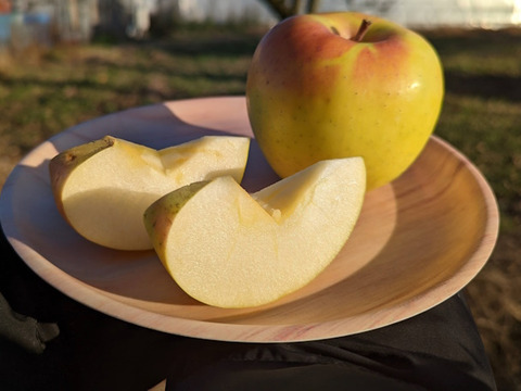 【訳あり】ぐんま名月 約1.8kg 5-10玉 ジューシーな希少りんご 11月上旬発送開始予定 #NAM0B018