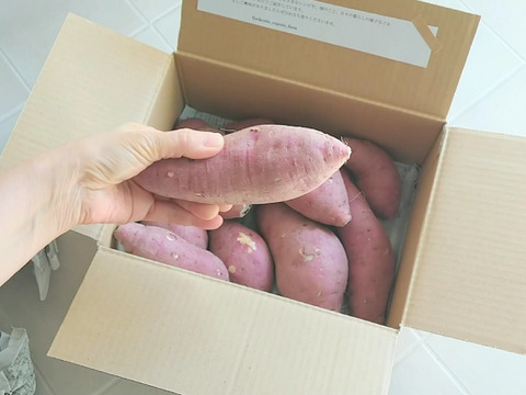 新ものは「まるで栗」　農薬不使用 べにはるか２kg【おひとりさま向け】