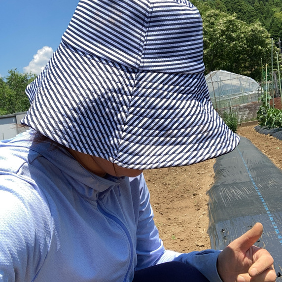 橋本ファーム