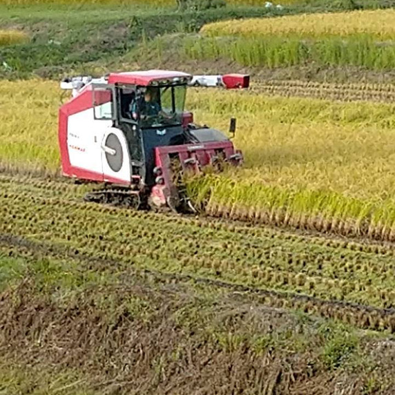 合同会社Bellファーム