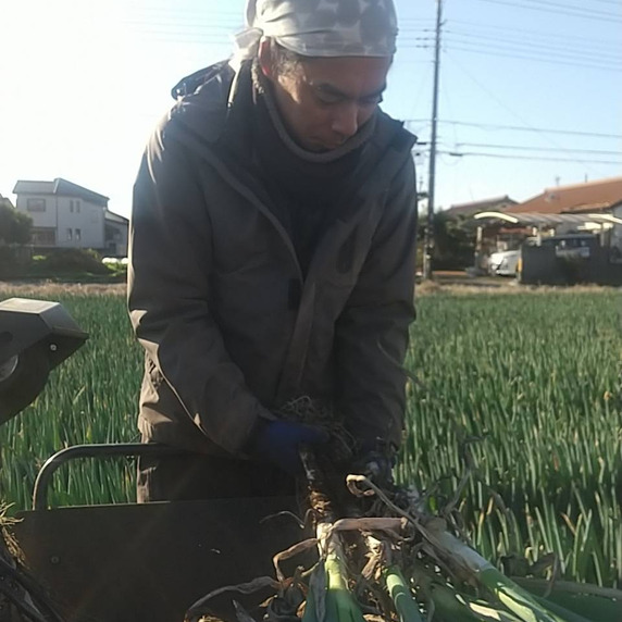 ろうそく屋ファーム