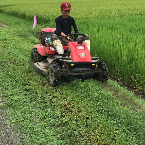伊藤精米店