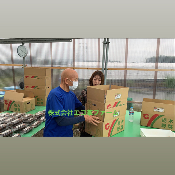 エコ革ファーム