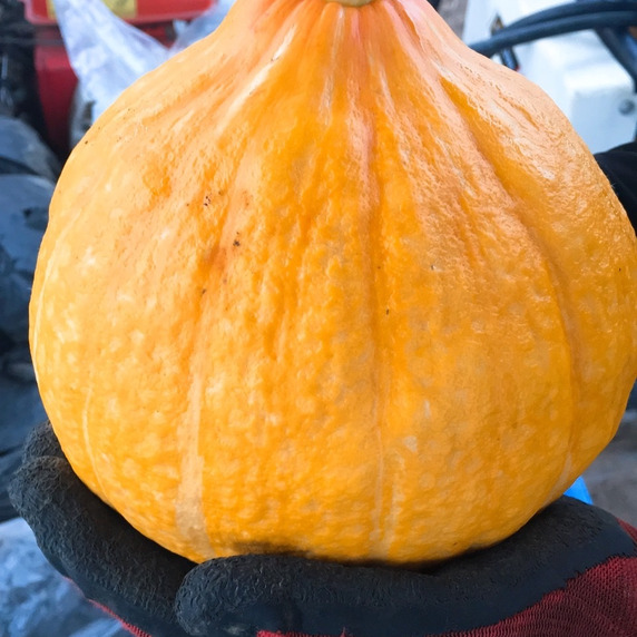 渡邊自然農園