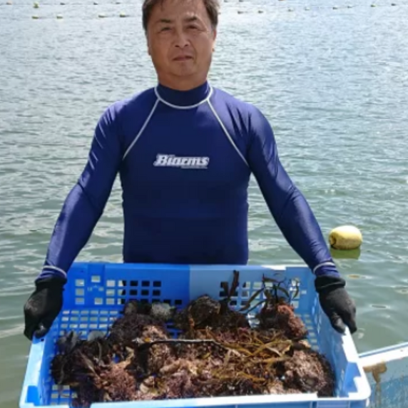 マルカズ水産