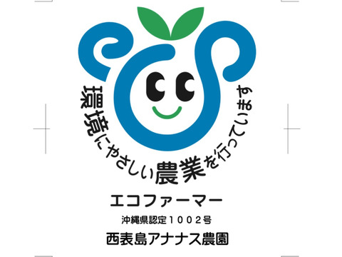 とろける至福の完熟マンゴー1kg(2〜3個)「沖縄西表島産」