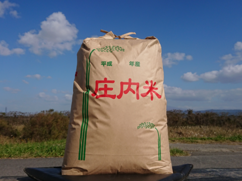 【 玄米・２４kg 】米の旨味たっぷり 自然栽培米 つや姫