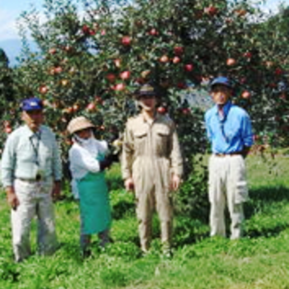 マルハラ果樹園