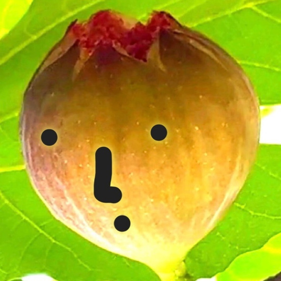 大ちゃん農園