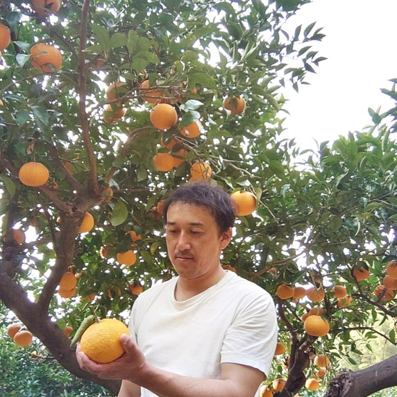 金剛農園