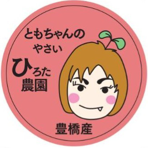 愛知県豊橋市　ひろた農園（ともちゃんの　やさい）
