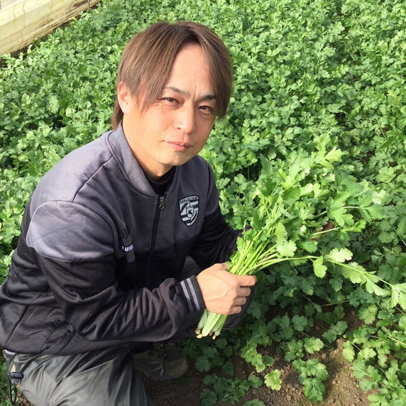 ハチワレ菜園
