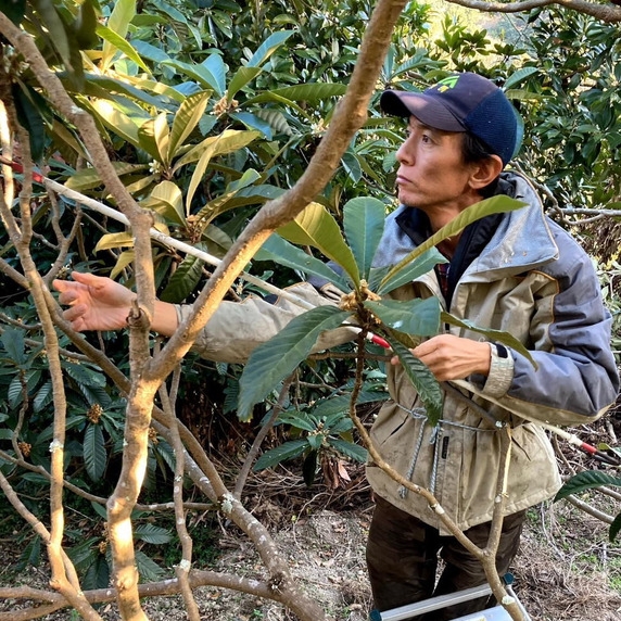 房州びわと山の幸　福原農園