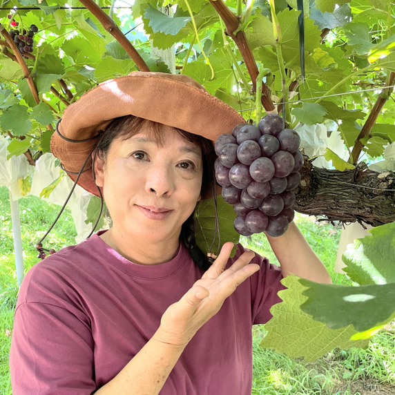 すべての生産者｜食べチョク｜産地直送(産直)お取り寄せ通販