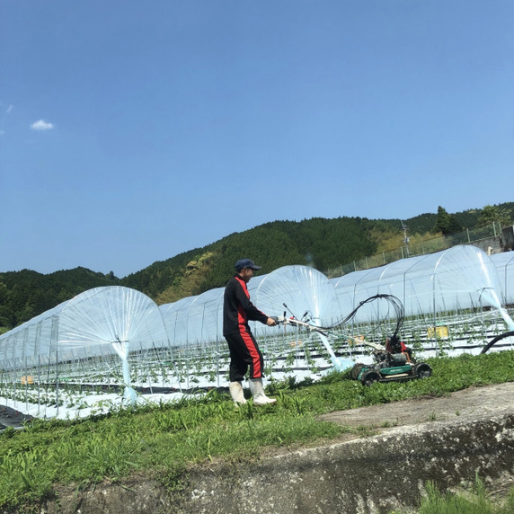 さわちゃん農園