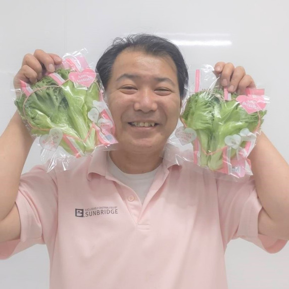 こころやさい