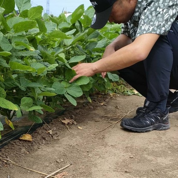 こくふにじいろFARM