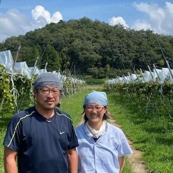 すべての生産者｜105ページ目｜食べチョク｜産地直送(産直)お