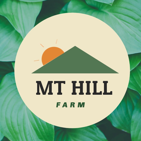 MT HILL FARM
