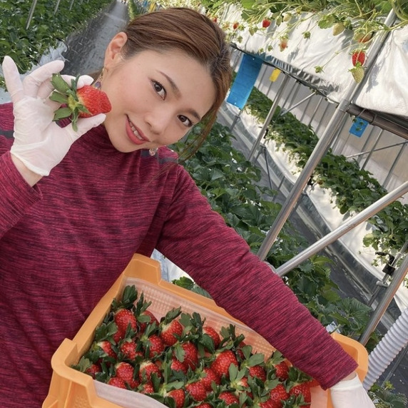 橋本農園