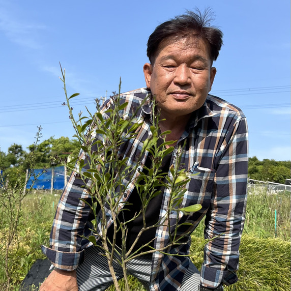 すべての生産者｜158ページ目｜食べチョク｜産地直送(産直)お