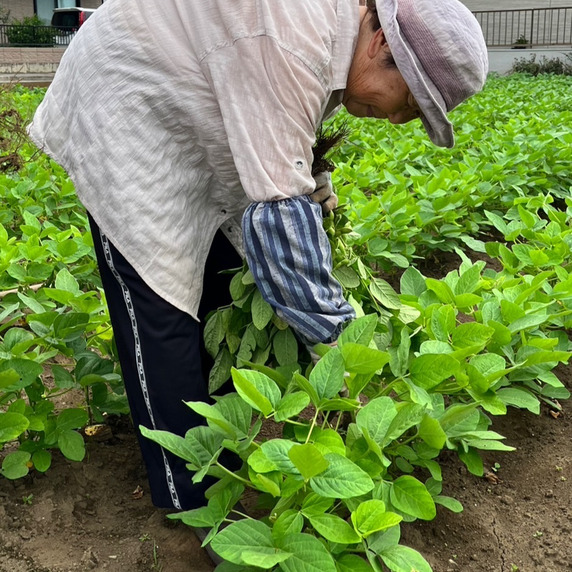藤村農園