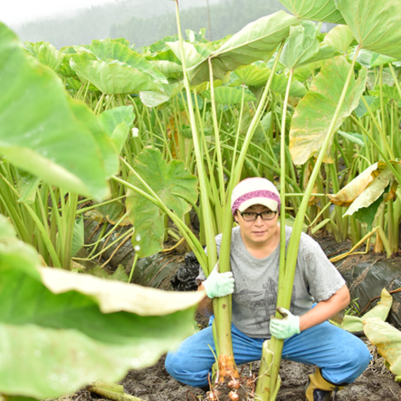 かとじファーム