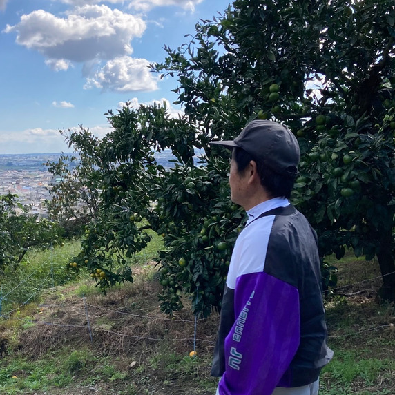 凪農園