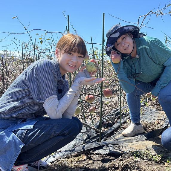 ＳＴＥＰ＆ＦＡＲＭ